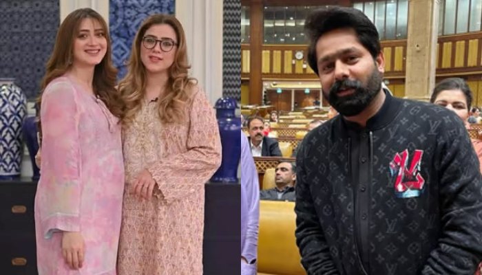 ‘میں ان کی بہن کو تعلیم کیلئے آسٹریلیا لے کر گیا’، ثاقب چدھڑ کے مومنہ اقبال اور ان کی بہن پر سنگین الزامات