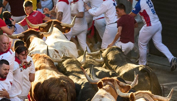اسپین: بیلوں کی دوڑ کے دوران سینگ لگنے سے 64 سالہ خاتون جاں بحق