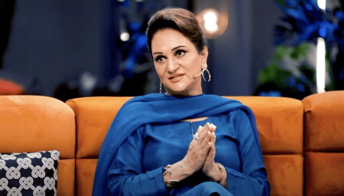 میرا اپنا بھانجا گرگیا، ایڈونچرز کے شوقین لوگ خطرات مول لینے سے گریز کریں: بشریٰ انصاری