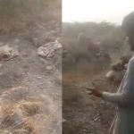 پشاور: قبر کھود کر بچوں اور بچیوں کی نعشیں نکال کر بے حرمتی کرنے والا درندہ صفت افغان ملزم گرفتار