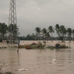 Dramatic flood scene with palm trees submerged in Phú Yên, Vietnam