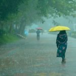 People walking under umbrellas on a rainy day in a park. Vivid colors and lush greenery.