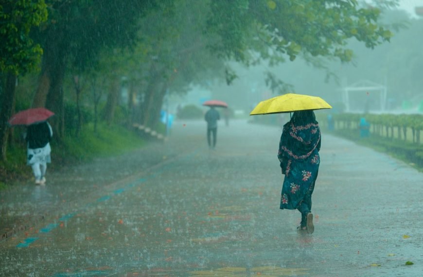 People walking under umbrellas on a rainy day in a park. Vivid colors and lush greenery.