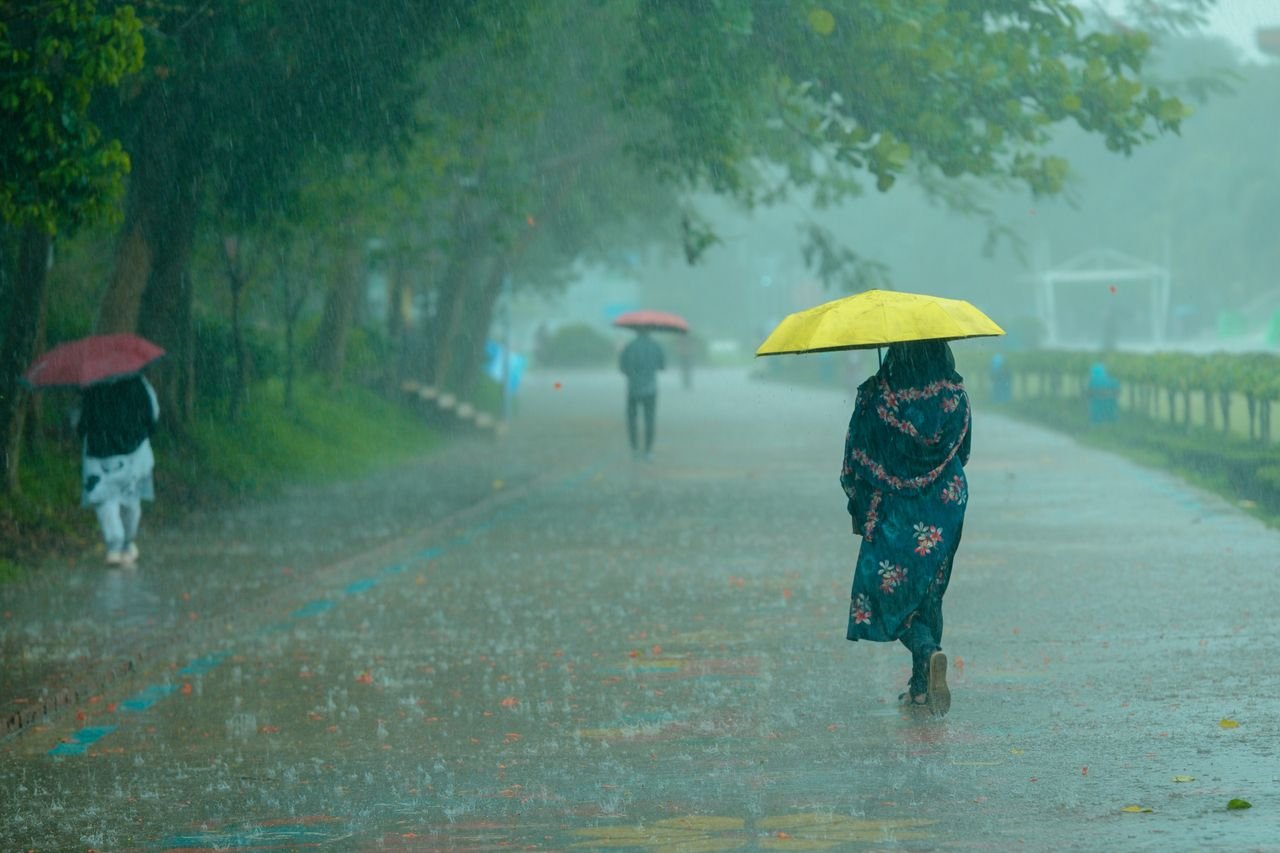 People walking under umbrellas on a rainy day in a park. Vivid colors and lush greenery.