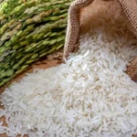 پاکستانی چاول کی ایکسپورٹ میں زبردست اضافہ، ریکارڈ سطح پر پہنچ گئیں
