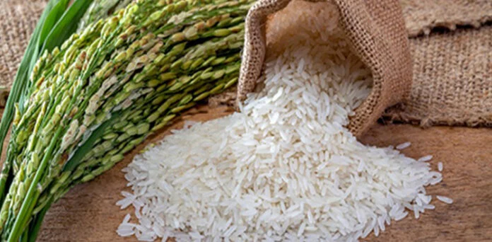 پاکستانی چاول کی ایکسپورٹ میں زبردست اضافہ، ریکارڈ سطح پر پہنچ گئیں